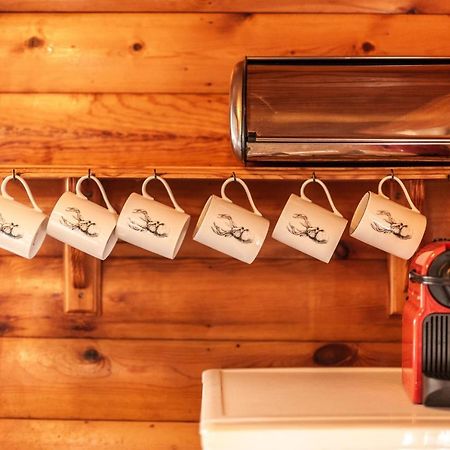 3 Bedroom Log Cabin In Snowdonia Nr Mtb Trails Tanygrisiau Bagian luar foto